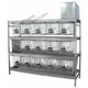 Catalog img230